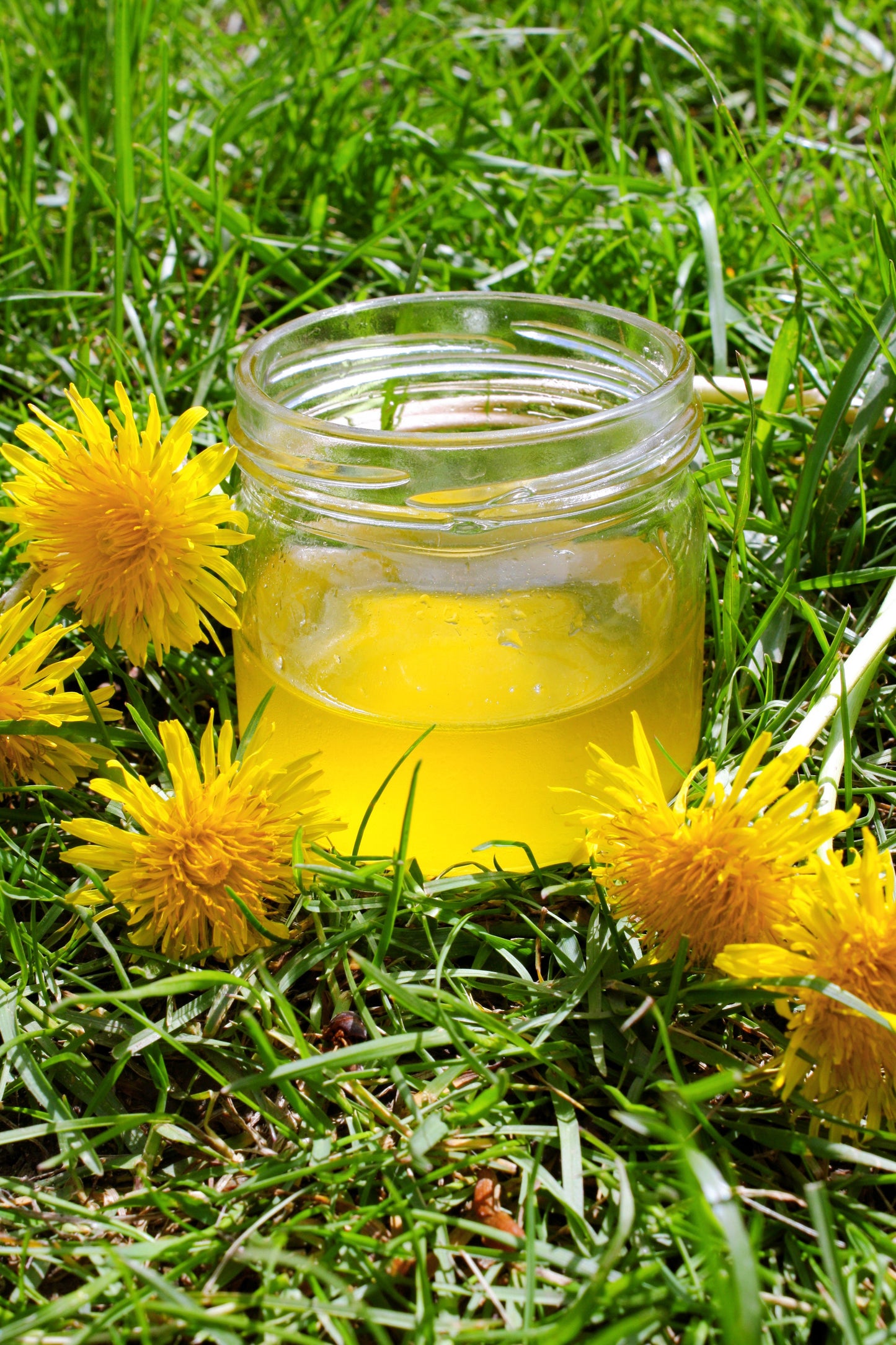 Crémaillotte (miel de pissenlit)