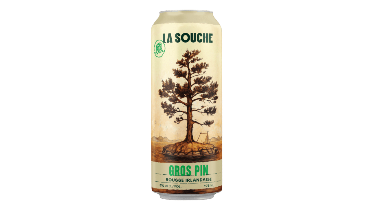 La souche - Gros pin